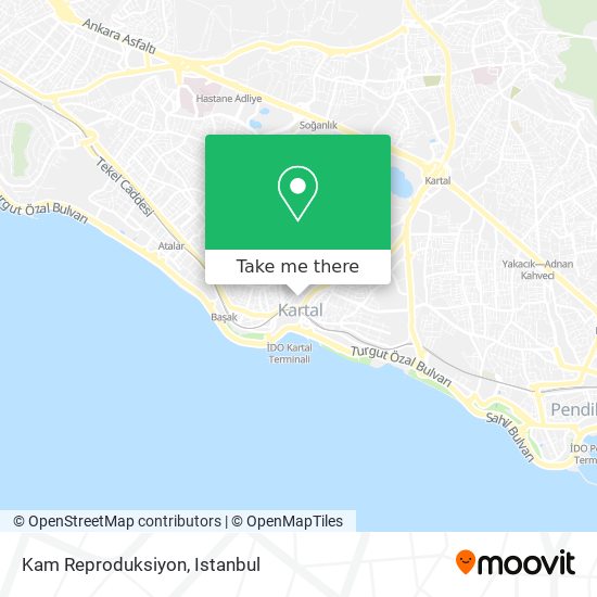 Kam Reproduksiyon map