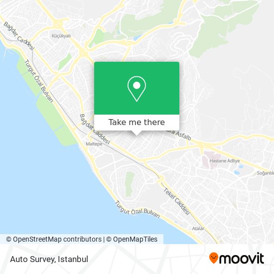 Auto Survey map