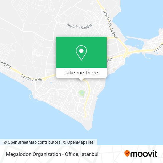 Megalodon Organization - Office map