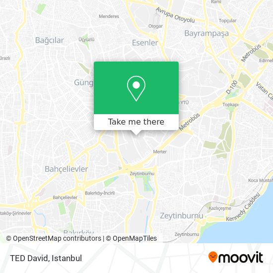 TED David map