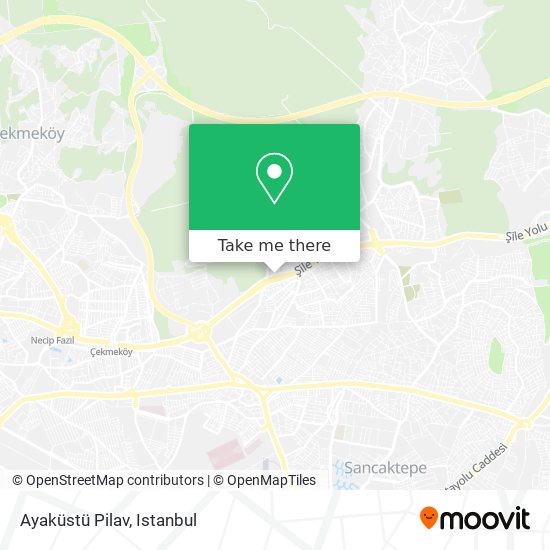 Ayaküstü Pilav map