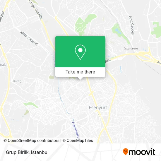 Grup Birlik map