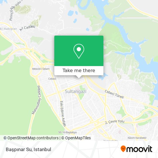 Başpınar Su map
