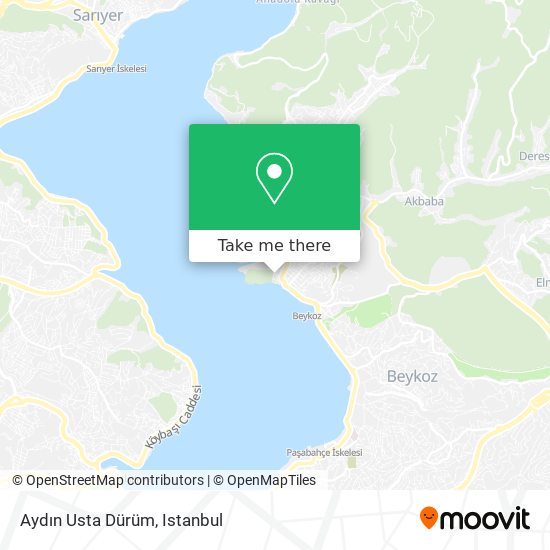 Aydın Usta Dürüm map