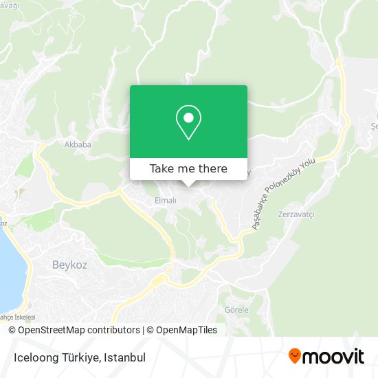 Iceloong Türkiye map