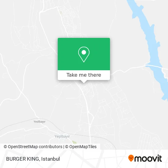 BURGER KING map