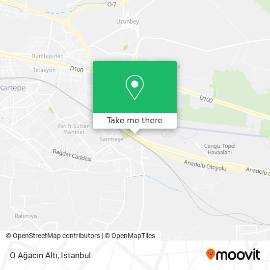 O Ağacın Altı map