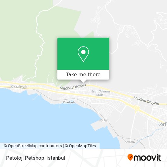 Petolojı Petshop map