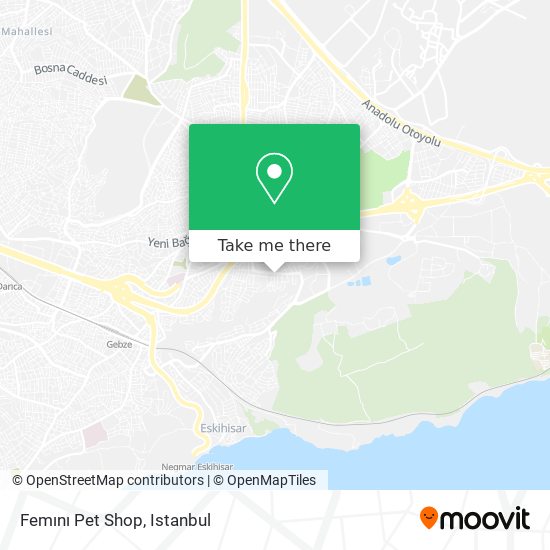 Femını Pet Shop map