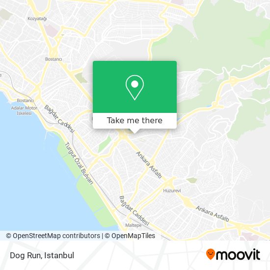 Dog Run map