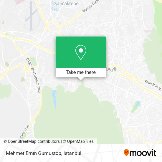 Mehmet Emın Gumustop map
