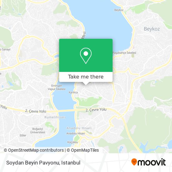 Soydan Beyin Pavyonu map