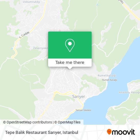 Tepe Balık Restaurant Sarıyer map