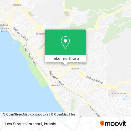 Levı Strauss Istanbul map
