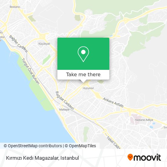 Kırmızı Kedı Magazalar map