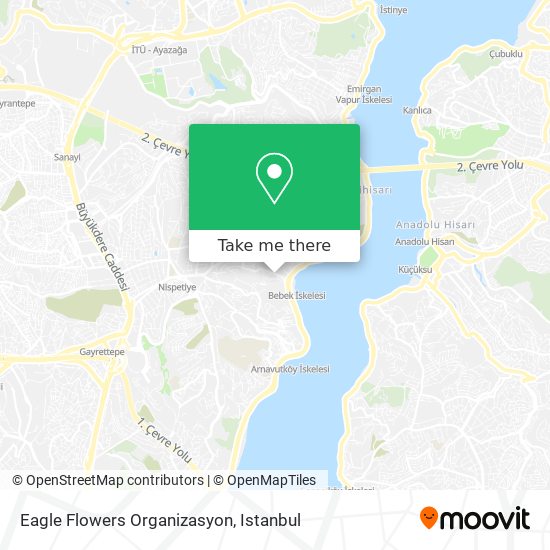 Eagle Flowers Organizasyon map