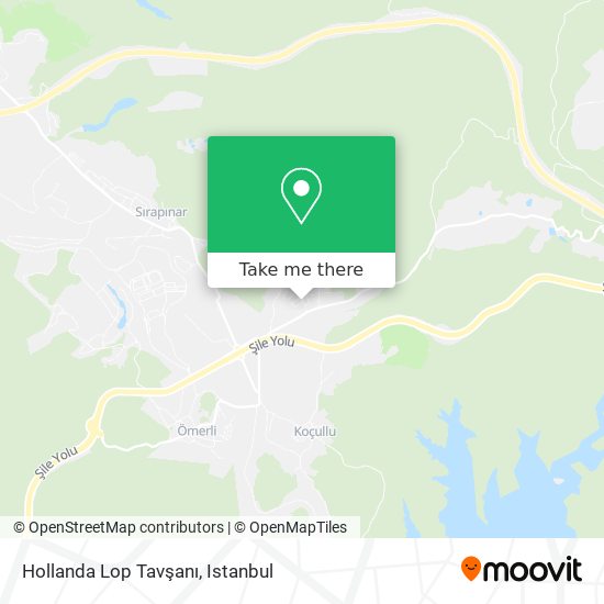Hollanda Lop Tavşanı map