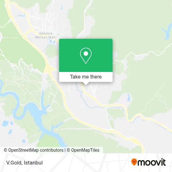 V.Gold map