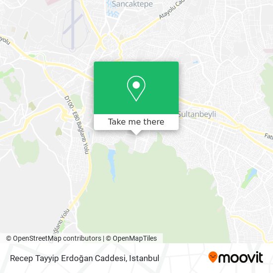 Recep Tayyip Erdoğan Caddesi map