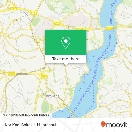 Kör Kadı Sokak 1 H map