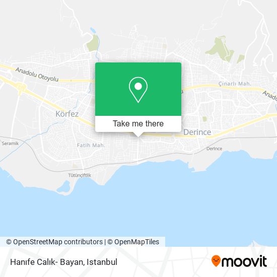 Hanıfe Calık- Bayan map