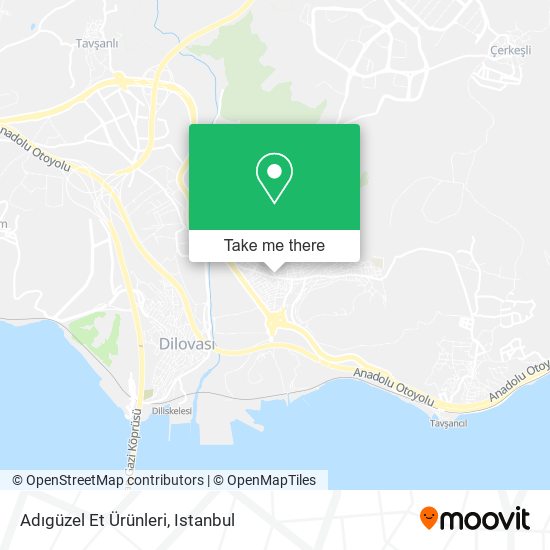 Adıgüzel Et Ürünleri map