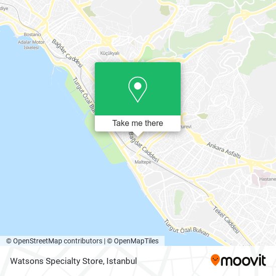 Watsons Specialty Store map