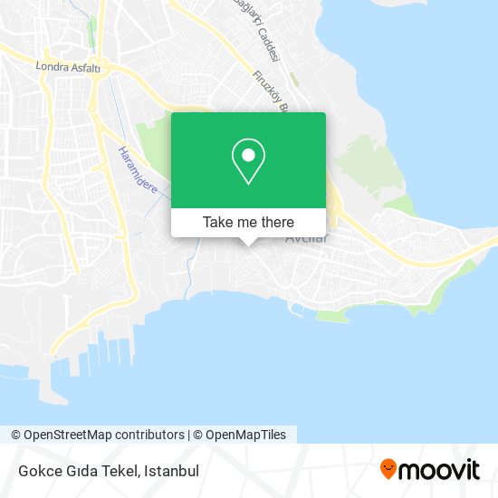 Gokce Gıda Tekel map