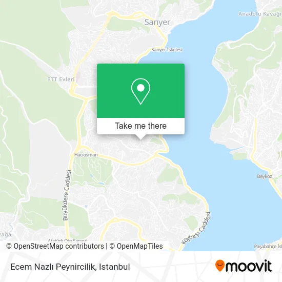 Ecem Nazlı Peynircilik map