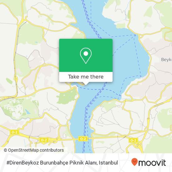 #DirenBeykoz Burunbahçe Piknik Alanı map