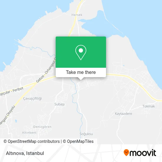 Altınova map