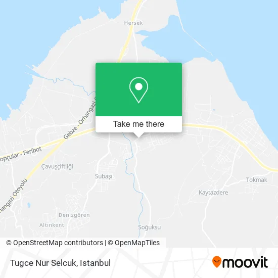 Tugce Nur Selcuk map