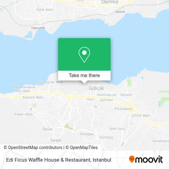 Edi Ficus Waffle House & Restaurant map