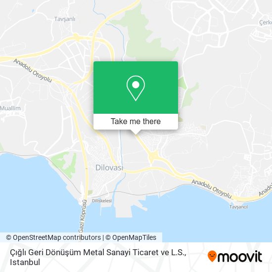 Çığlı Geri Dönüşüm Metal Sanayi Ticaret ve L.S. map