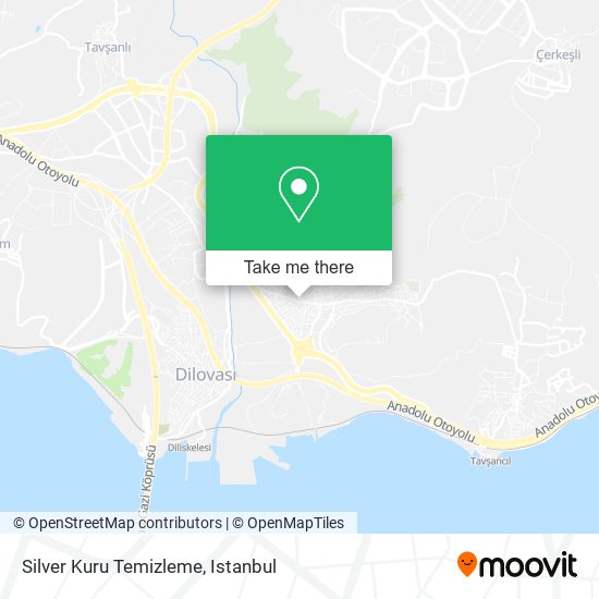 Silver Kuru Temizleme map