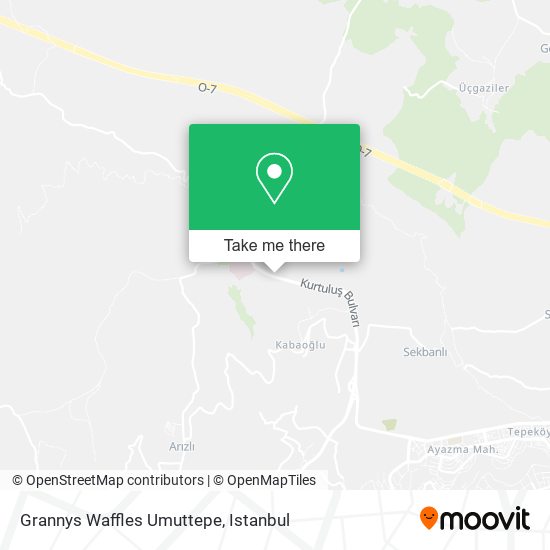 Grannys Waffles Umuttepe map