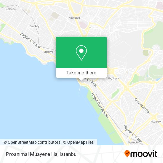 Proanımal Muayene Ha map