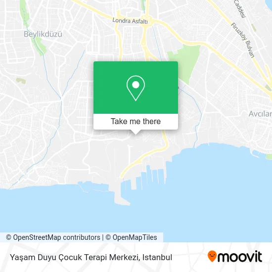Yaşam Duyu Çocuk Terapi Merkezi map