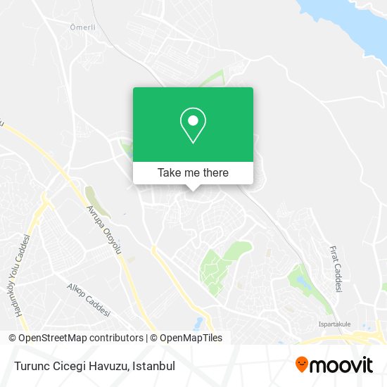 Turunc Cicegi Havuzu map