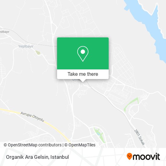 Organik Ara Gelsin map