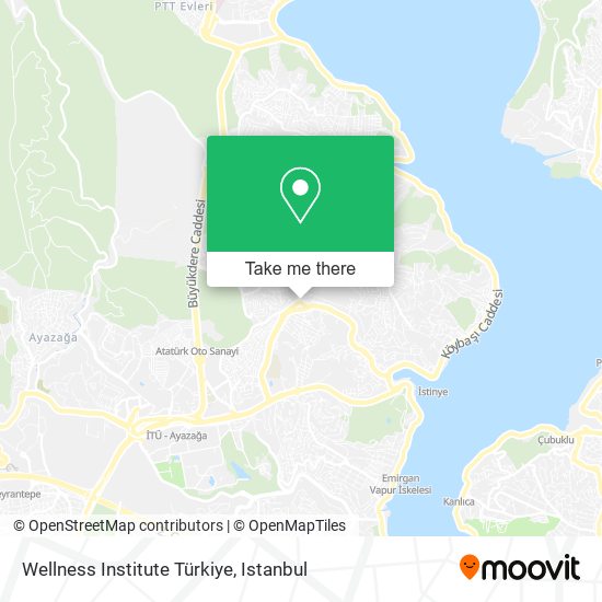 Wellness Institute Türkiye map