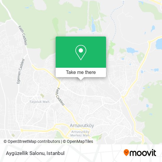 Aygüzellik Salonu map