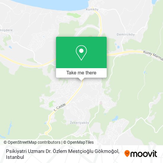 Psikiyatri Uzmanı Dr. Özlem Mestçioğlu Gökmoğol map