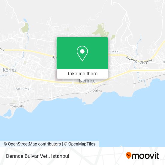 Derınce Bulvar Vet. map