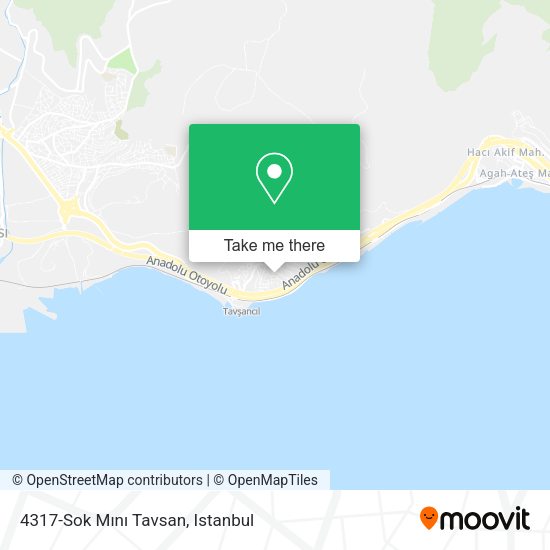 4317-Sok Mını Tavsan map