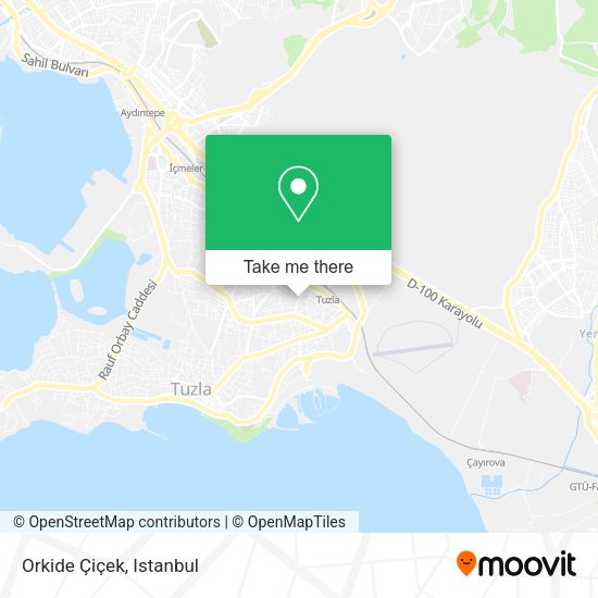 Orkide Çiçek map