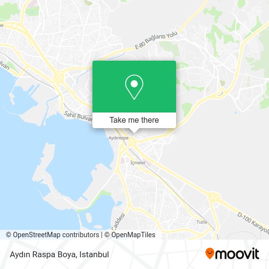 Aydın Raspa Boya map