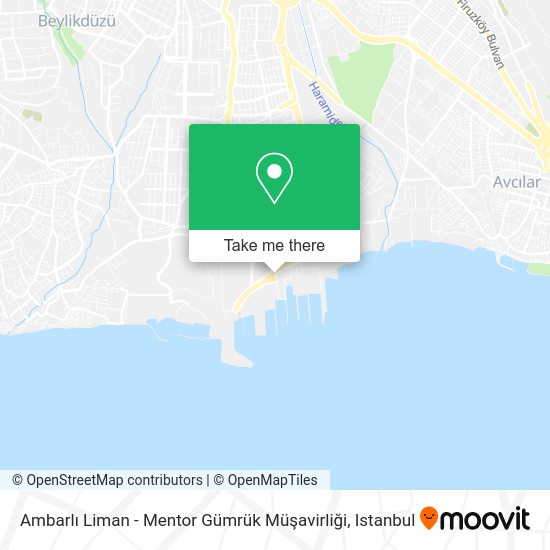 Ambarlı Liman - Mentor Gümrük Müşavirliği map