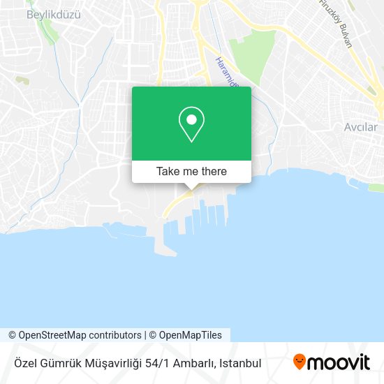 Özel Gümrük Müşavirliği 54 / 1 Ambarlı map