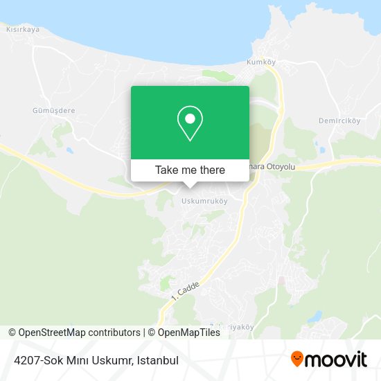 4207-Sok Mını Uskumr map
